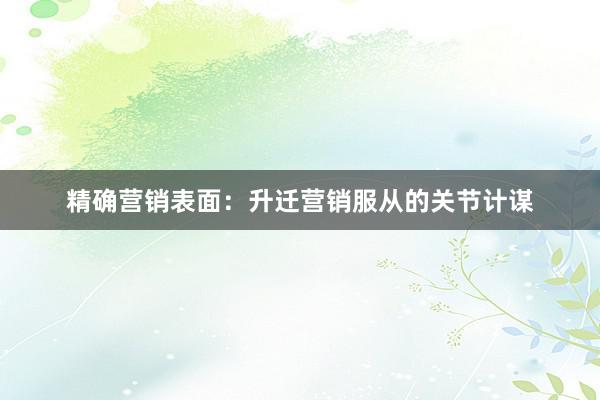 精确营销表面：升迁营销服从的关节计谋